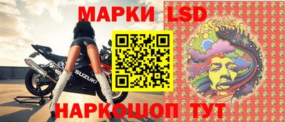 индика Новозыбков