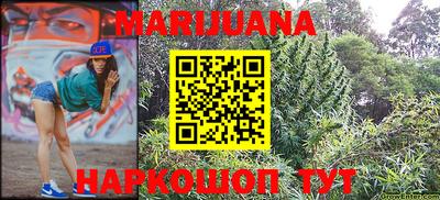 индика Новозыбков